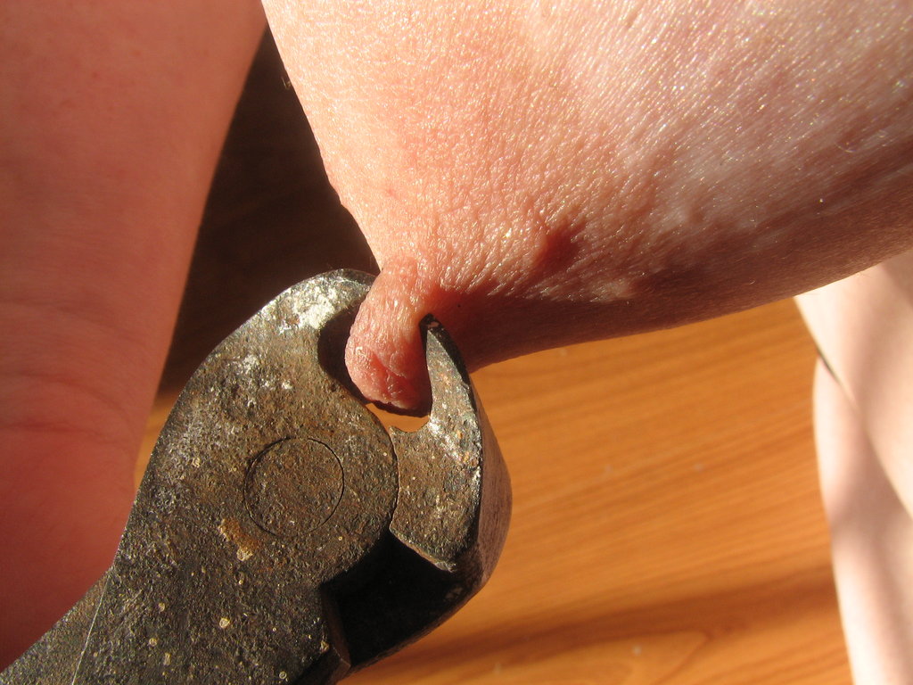 Milk, pinch, pull squeeze tits — 15